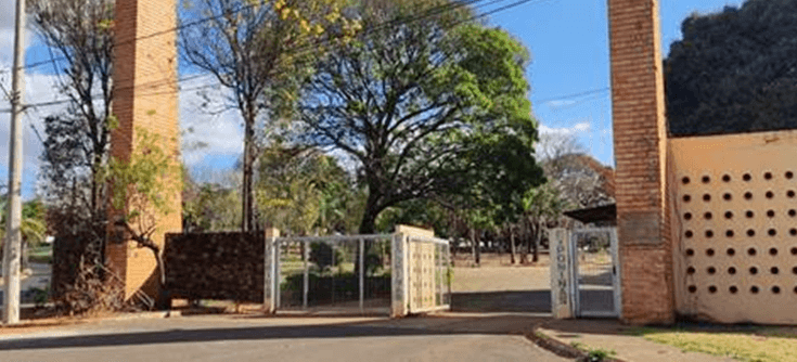 Cesta de Natal 2024 – Parte 2